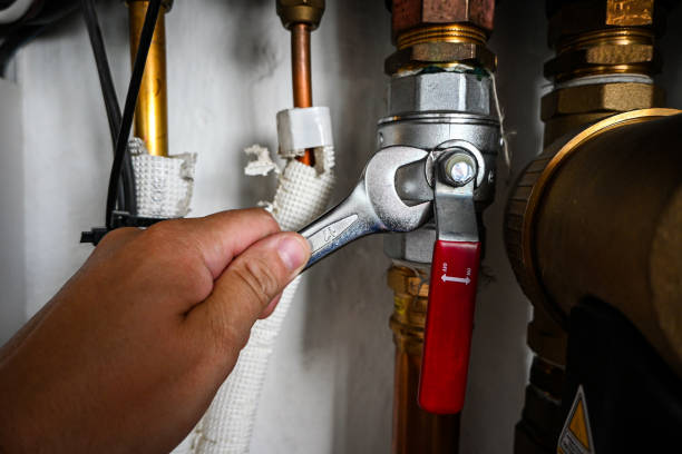 Best Same-Day Plumbing Service  in Shorewood Tower Hills Harbert, MI